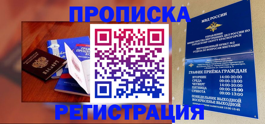временная регистрация для школы в Новороссийске